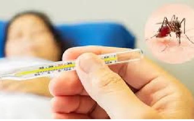 Dakshina Kannada Sees Decline in Malaria, Dengue Cases on the Rise