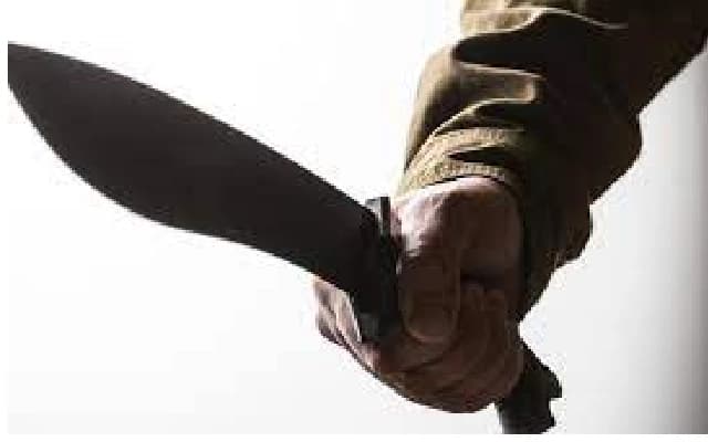 35-Year-Old Woman Fights for Life After Machete Attack by Husband