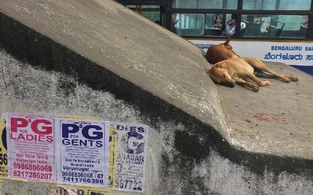 BBMP Shuts Down 21 Non-Compliant PG Accommodations in Bengaluru