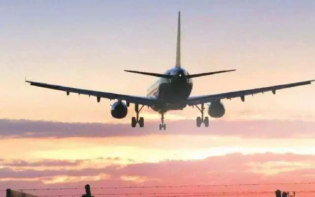 Man Arrested for Misbehavior on Chennai-Bound Flight