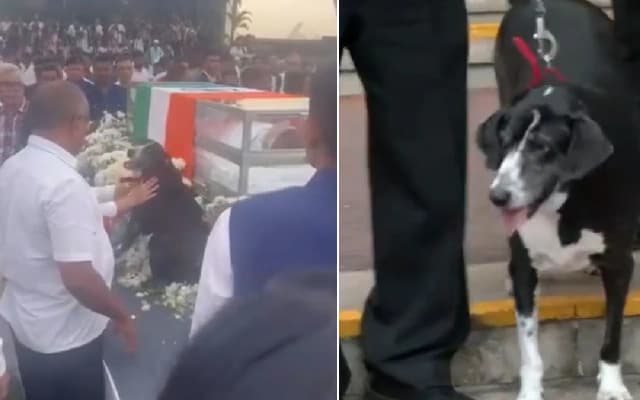 Ratan Tata’s Beloved Dog Goa Pays Tribute
