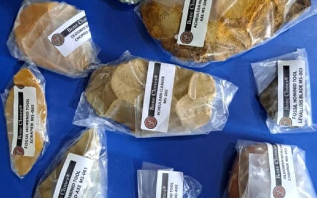 Ballari Museum Adds Upper Paleolithic 3D Replicas to Prehistoric Collection