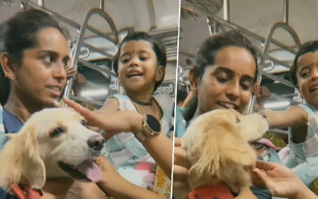 Minnie the Golden Retriever Steals Hearts on Mumbai Local Train