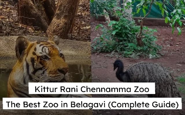 Kittur Rani Chennamma Mini Zoo Gains Popularity Among Wildlife Enthusiasts