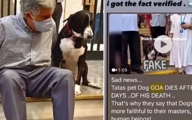 Mumbai Police Clarify: Ratan Tata’s Beloved Dog Goa is Alive