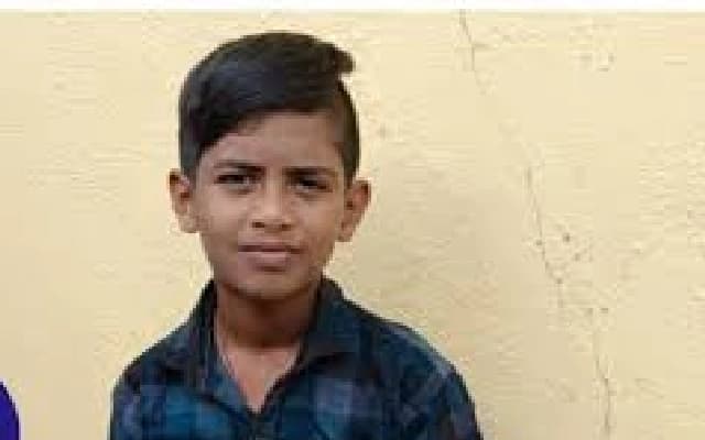 Tragic Stray Dog Attack Claims Life of 11-Year-Old Boy in Chitradurga