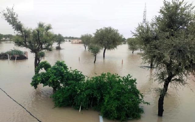 Heavy Rain Causes Disruption in Chitradurga, Tractor and Car Swept Away
