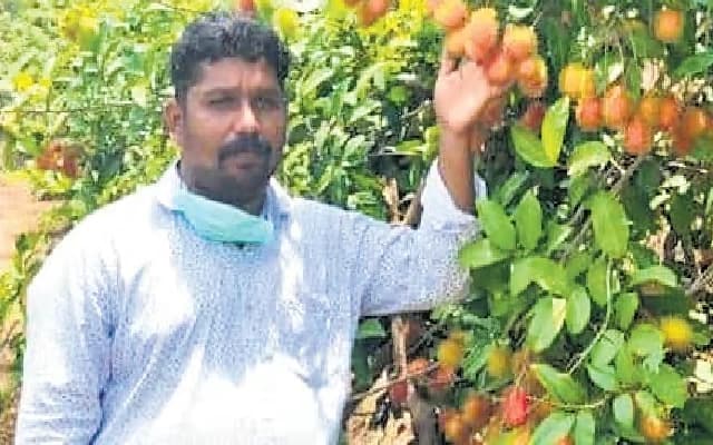 Class 10 Dropout Thrives with Rs 1 Crore Business in Exotic Fruits