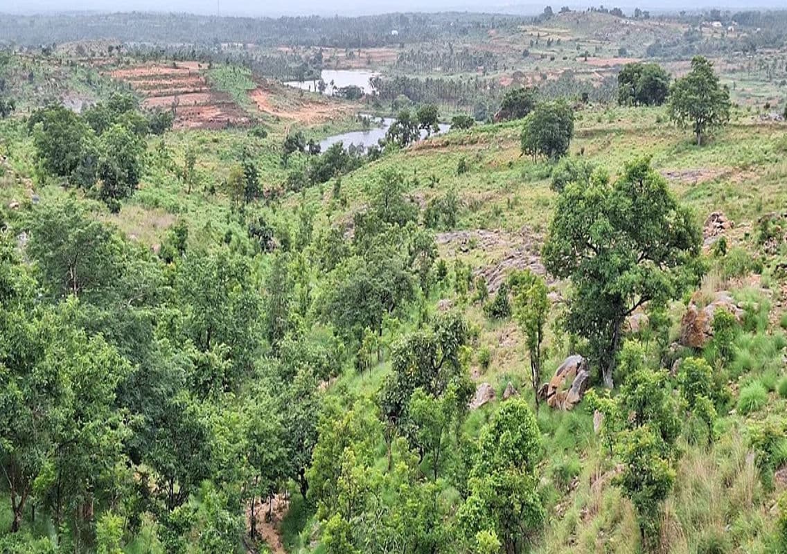Threat of Mining Endangers Manchekallu Hill’s Medicinal Heritage