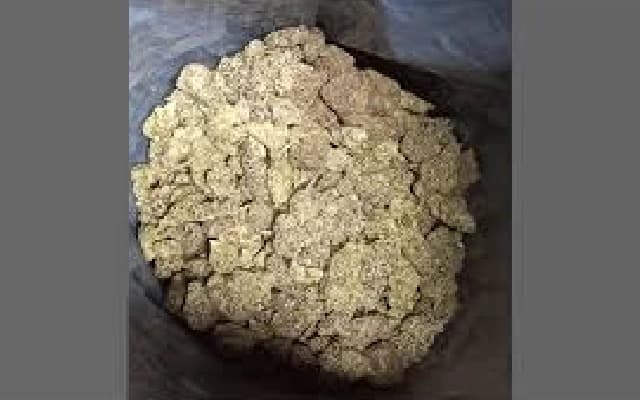 Mangaluru CCB Nabs Drug Supplier, Seizes Rs 30 Lac in Hydro Weed