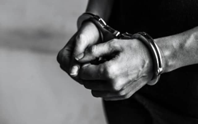 Tragic Family Violence: Elderly Man Murdered by Son in Tripura