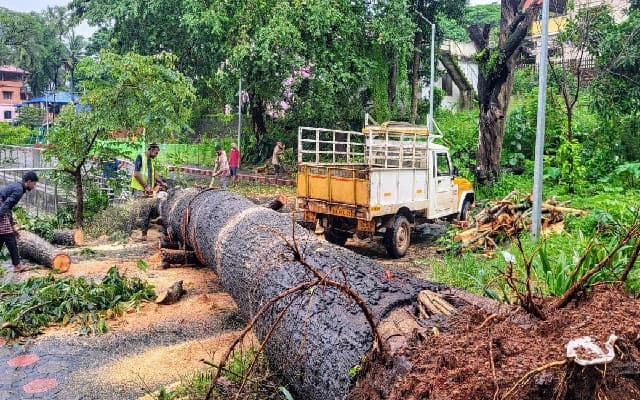 Mass Tree Felling Sparks Outcry Near Moodushedde Golf Course