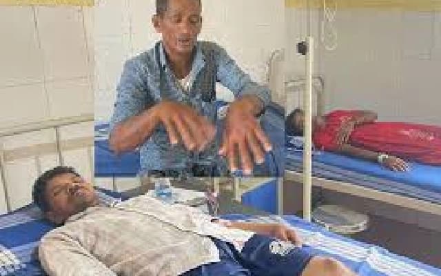 Bhatkal: Four Injured in Separate Bee Attacks, One Critical