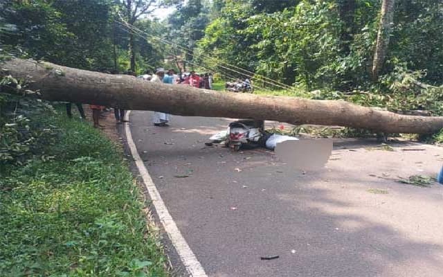 Farmer Killed Over Tree-Cutting Dispute in Kadaba