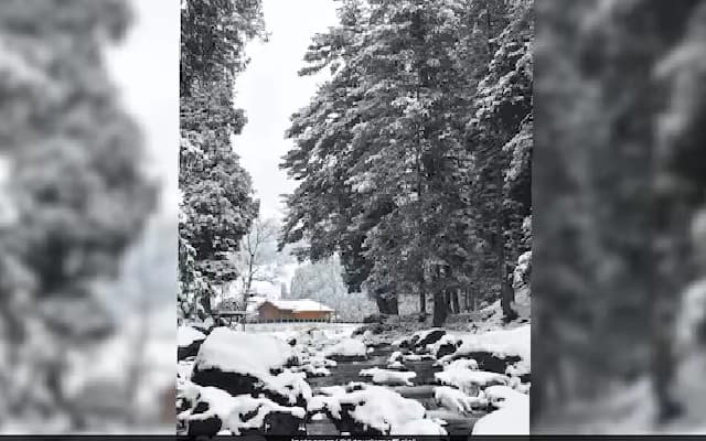 Kashmir Welcomes Winter with First Snowfall of 2024