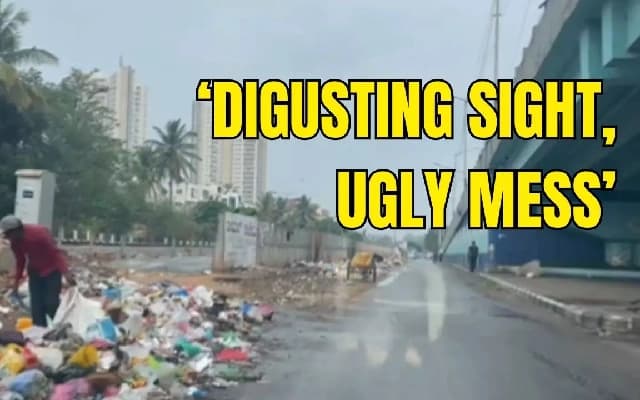 Bengaluru’s Garbage Crisis: Netizens Demand Action