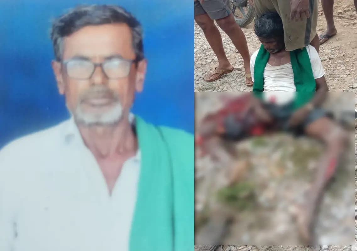 Farmer killed in tragic accident involving tipper in Mandya
