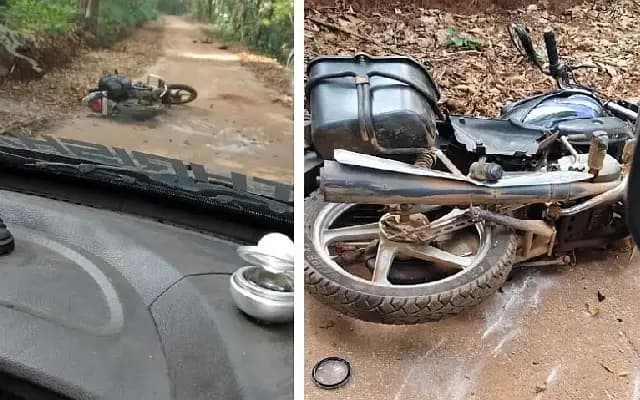 Wild Elephant Attacks Father and Children in Belthangady