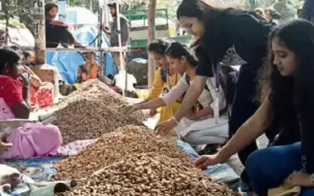 Bengaluru’s Basavanagudi Kadalekai Parishe returns with a focus on sustainability