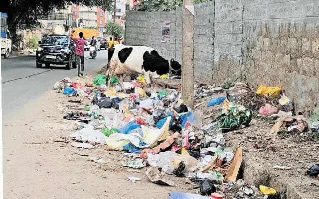 Garbage Dumping on Nallurhalli Road Disrupts Whitefield Residents