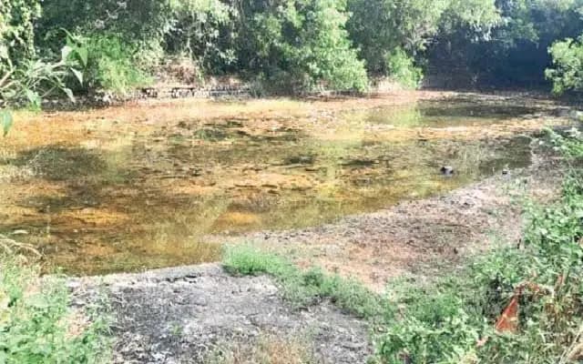 Dakshina Kannada’s Neglected Lakes Face Grim Future