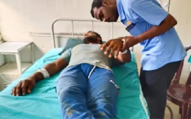 Five Injured in Bee Attack While Working in Manur, Kundapur