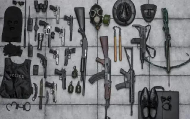Two Brothers Arrested in Bengaluru for Illegal Firearms Possession