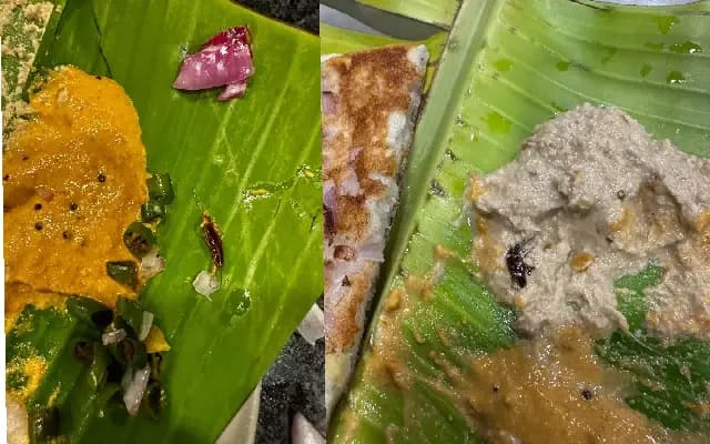 Customer Finds Cockroaches in Breakfast at Hyderabad Tiffin Centre