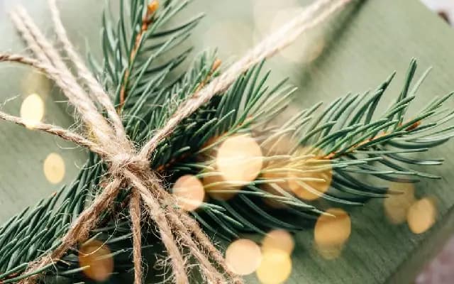 Kerala Church Champions Eco-Friendly Christmas with Green Initiatives