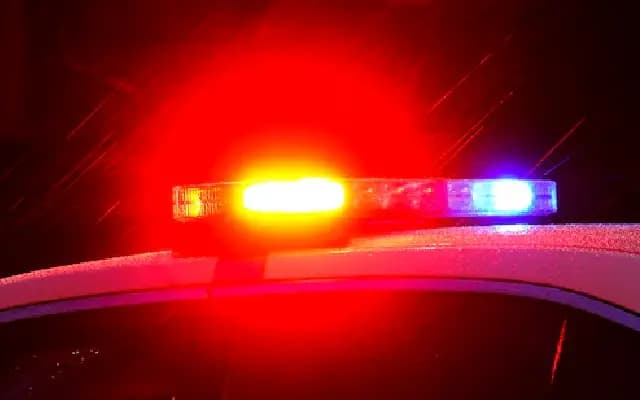 7-Year-Old Rescued from Dad After Dialling 911 and Alerting Cops