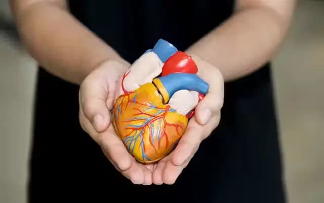 Dharwad Ranks High in Organ Donation Pledges This Year