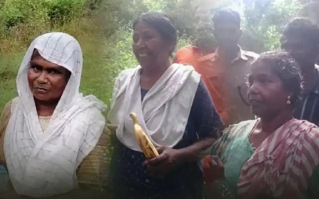 Kerala women rescued after night in forest surrounded by elephants