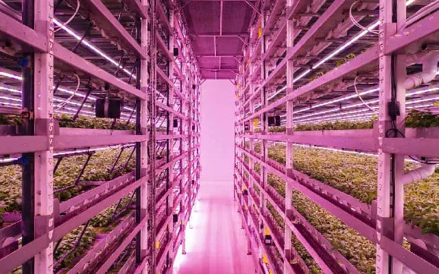 Electro-agriculture: farming without sunlight
