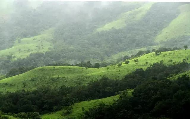 Kudremukh Wildlife Division to Reassess Public Access to Trekking