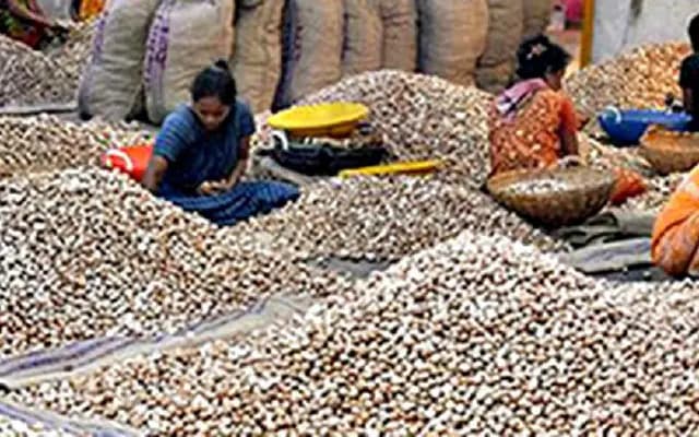 CAMPCO Urges Government to Fund Research on Arecanut’s Safety and Health Benefits