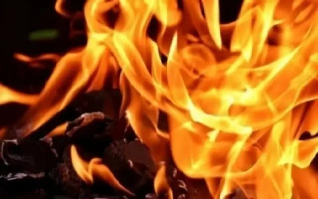 Woman Dies in Fire as Husband Allegedly Torches Car in Kollam