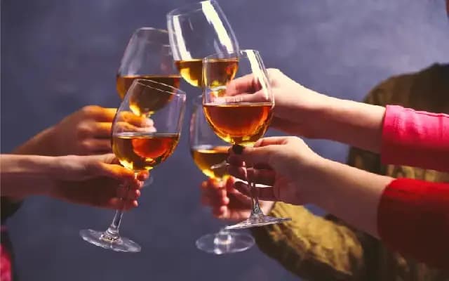 Raise a Glass at WineFest 2024 in Mangaluru by Shoolin Palace