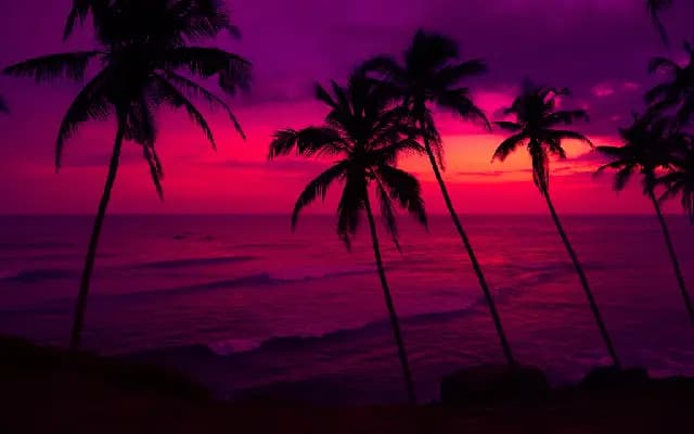 Coconut Plantations Driving Deforestation on Pacific Atolls