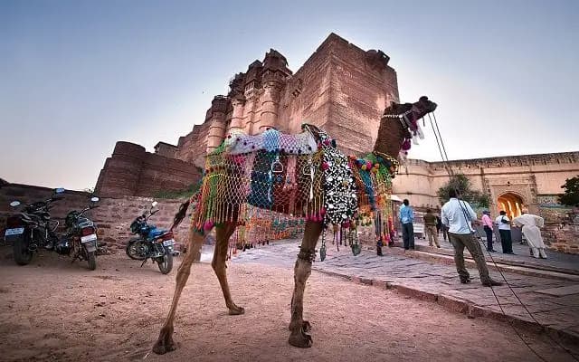 6 coldest places in Rajasthan for a winter getaway