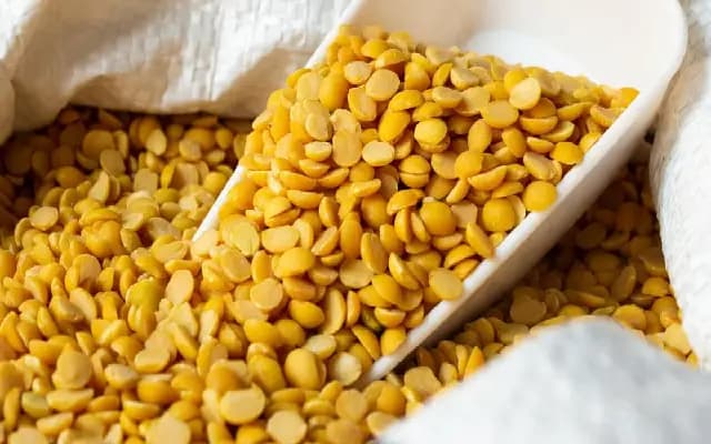 Kalaburagi: tur dal prices set to rise as crops suffer major damage