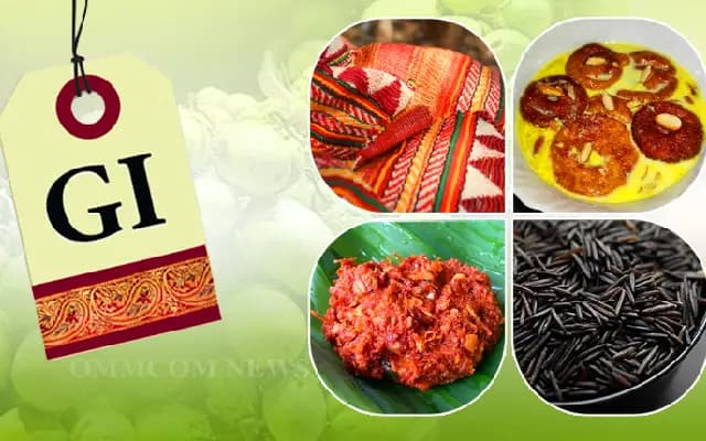 India’s culinary gems earn GI tag, preserving heritage and flavor