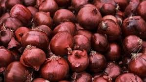 Bengaluru man shares quirky interaction with delivery agent asking for an onion