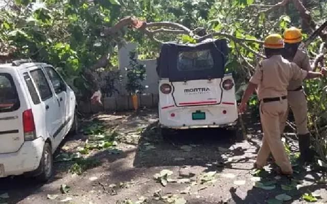 Mangaluru: Uprooted tree damages vehicles near Balmatta Sahodaya church