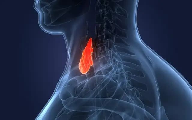 Bengaluru Study Links Hypothyroidism to Cognitive Decline in Older Adults