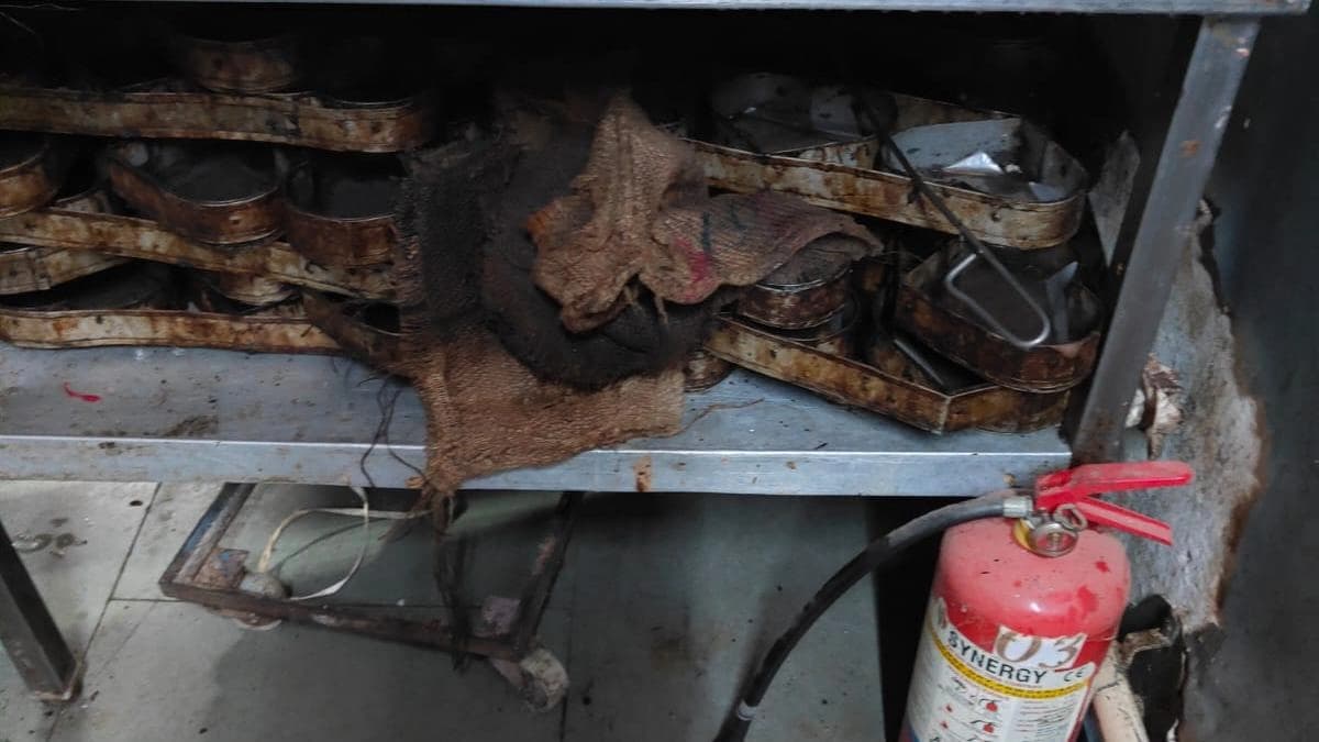 Hygiene and Food Safety Violations Exposed at Monginis Cake Shop in Hyderabad