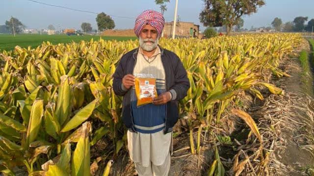 From landless farmer to ‘Doctor of Agriculture’: Manjit Singh’s turmeric tale