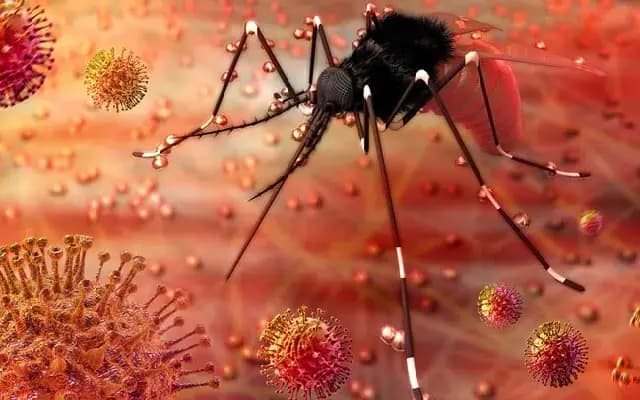 Maharashtra Leads in Zika Virus Cases in 2024