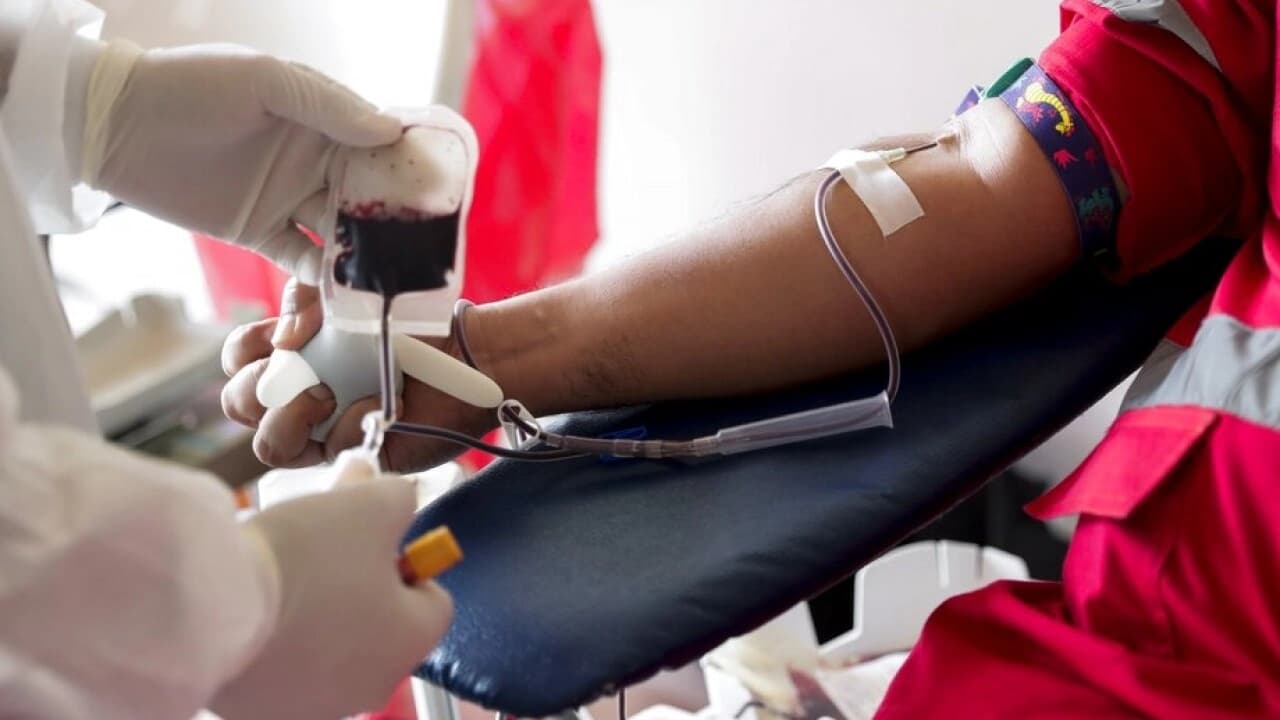 Kodagu faces acute blood shortage; authorities urge action