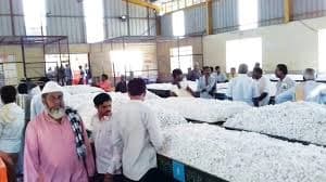 Mysuru to get permanent cocoon auction market for sericulturists