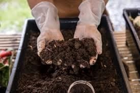 Phase 1 of SORT project in Bengaluru turns organic waste into compost